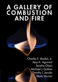 Cover: A Gallery of Combustion and Fire - Cambridge University Press