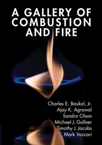 Abbildung von: A Gallery of Combustion and Fire - Cambridge University Press