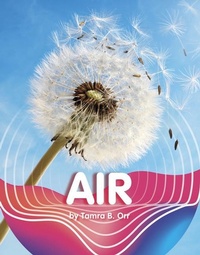 Enlarge image Cover: Air - Capstone Press, Incorporated
