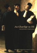 Cover: An Ghaeilge sa Dli - Leabhar Breac
