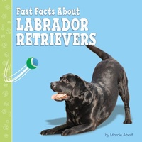 Enlarge image Cover: Fast Facts about Labrador Retrievers - Pebble Books