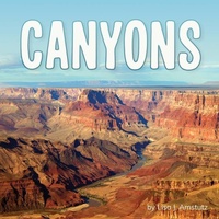 Enlarge image Cover: Canyons - Pebble Books