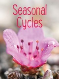 Cover: Seasonal Cycles - Arvaaq Press