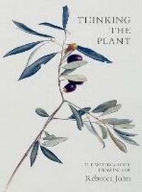 Enlarge image Cover: Thinking the Plant - Pimpernel Press Ltd