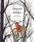 Cover: Un misterio en el bosque (A Mystery in the Forest) - Cuento de Luz SL