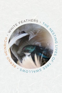 Abbildung von: White Feathers - Mariner Books