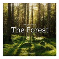 Abbildung von: Life & Love of the Forest - Abrams