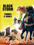Cover: Black Storm - Wildside Press