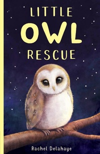 Enlarge image Cover: Little Owl Rescue - Little Tiger Press