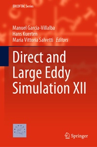 Abbildung von: Direct and Large Eddy Simulation XII - Springer