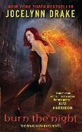 Cover: Burn the Night - Harper Voyager