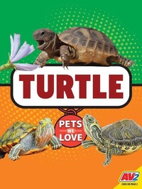 Enlarge image Cover: Turtle - Av2