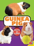 Cover: Guinea Pig - Av2