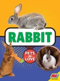 Cover: Rabbit - Av2