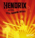 Cover: Jimi Hendrix - Flame Tree Publishing