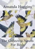 Cover: The Collective Nouns for Birds - Maytree Press