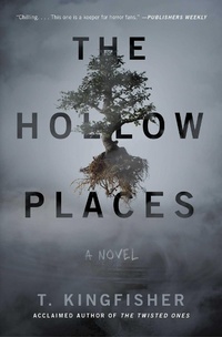Abbildung von: The Hollow Places - Gallery Books