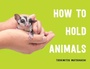 Cover: How to Hold Animals - Scribner