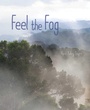 Cover: Feel the Fog - Beach Lane Books
