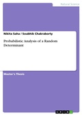 Cover: Probabilistic Analysis of a Random Determinant - GRIN Verlag