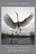 Cover: In the Lateness of the World - Bloodaxe Books Ltd