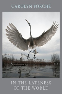 Enlarge image Cover: In the Lateness of the World - Bloodaxe Books Ltd