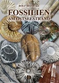 Abbildung von: Fossilien am Ostseestrand - Demmler Verlag