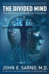 Enlarge image Cover: The Divided Mind - HarperCollins