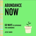 Cover: Abundance Now - St. Martin's Essentials