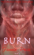Cover: Burn - Bronze Moon Press