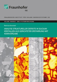 Abbildung von: Analyse struktureller Defekte in Siliciumkristallen aus gerichteter Erstarrung mit Keimvorgabe - Fraunhofer Verlag