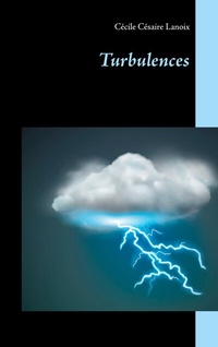 Abbildung von: Turbulences - BoD - Books on Demand