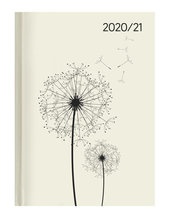 Campustimer Blowballs A5 Semester Planer Studenten Kalender 2020 2021 Notiz Buch Pusteblume Weekly Alpha Edition Alpha Edition 4251732303730 Schweitzer Online