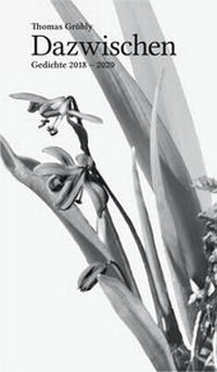 Enlarge image Cover: Dazwischen - Verlag Volleshaus