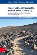 Cover: History and Society during the Mamluk Period (1250-1517) - Brill Deutschland