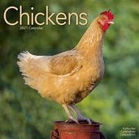 Abbildung von: Chickens 2021 Wall Calendar - Avonside Publishing Ltd