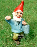 Cover: The Readiness - Picador
