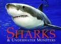 Cover: Sharks and Underwater Monsters - Amber Books