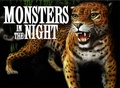 Cover: Monsters in the Night - Amber Books