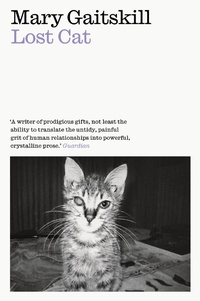 Enlarge image Cover: Lost Cat - Daunt Books
