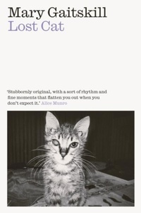Enlarge image Cover: Lost Cat - Daunt Books