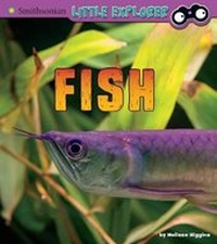 Enlarge image Cover: Fish - Raintree
