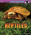 Cover: Reptiles - Raintree
