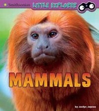 Enlarge image Cover: Mammals - Raintree