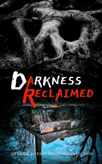 Enlarge image Cover: Darkness Reclaimed - Eerie River Publishing