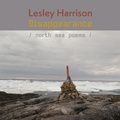 Cover: Disappearance - Shearsman Books