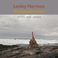 Enlarge image Cover: Disappearance - Shearsman Books