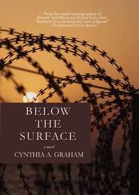 Enlarge image Cover: Below the Surface - Amphorae Publishing Group LLC
