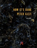 Cover: Now It's Dark - Wesleyan University Press
