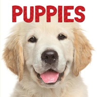 Enlarge image Cover: Puppies - Flowerpot Press